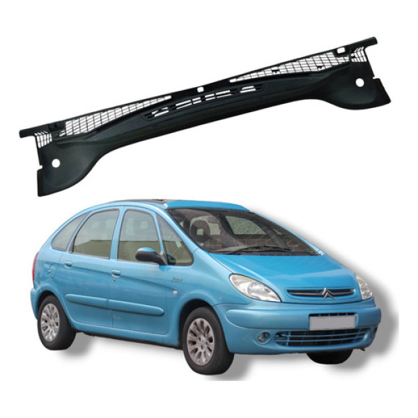 Grade Churrasqueira Citroën Xsara Picasso 2004