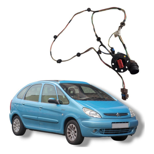 Chicote Porta Traseiro Citroën Xsara Picasso 2004