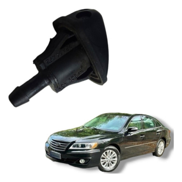 Brucutu Esguicho Hyundai Azera 2009 A 2011