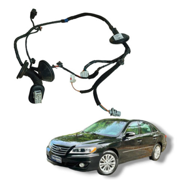 Chicote Porta Traseira Direita Hyundai Azera 2009 A 2011