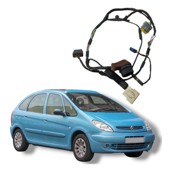 Chicote Porta Dianteira Esquerda Citroën Xsara Picasso 2004