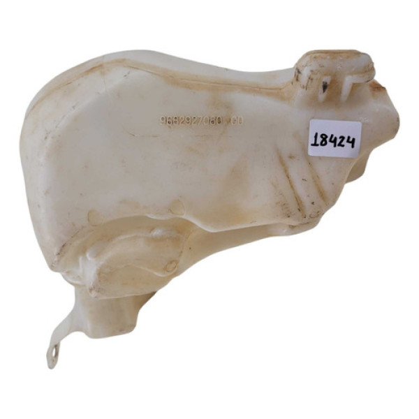 Reservatório Água Parabrisa C4 Pallas 2007 2010