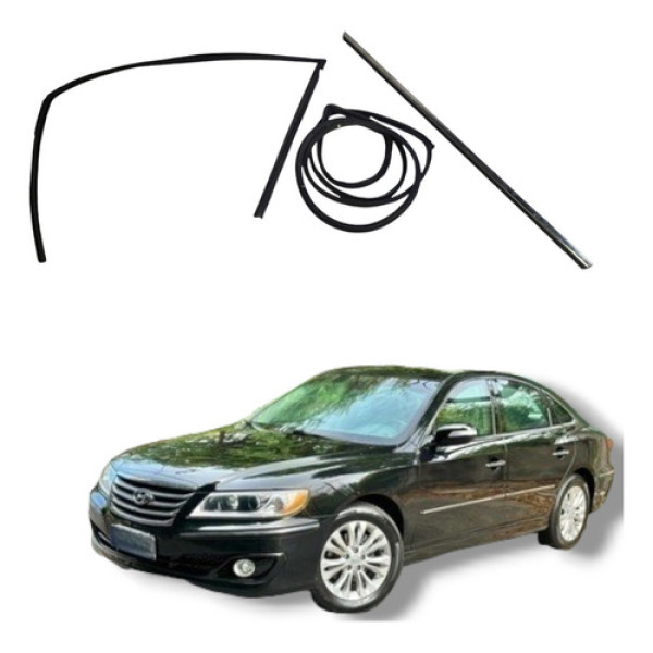 Jogo Borracha Porta Dianteira Direita Hyundai Azera 2009 11 Preto