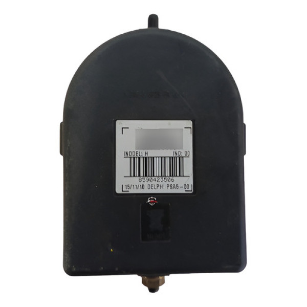 Buzina Sirene Alarme Citroen C4 Pallas 2009