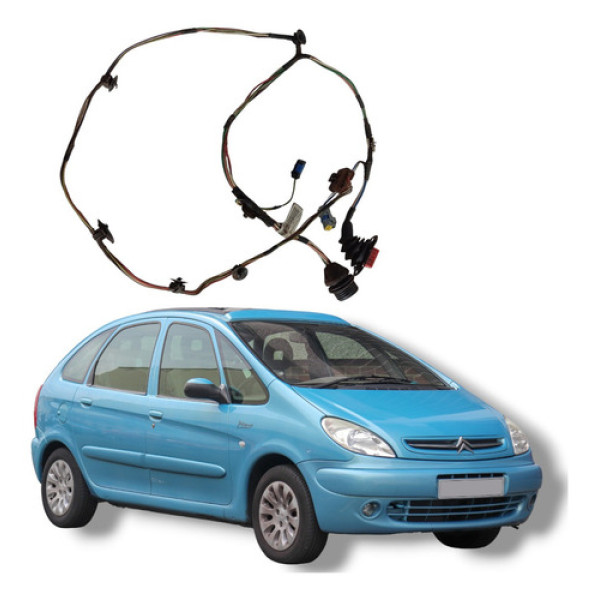 Chicote Porta Traseiro Citroën Xsara Picasso 2004