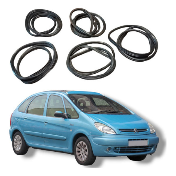 Jogo Borracha Guarnição Porta Tampa  Xsara Picasso 2004