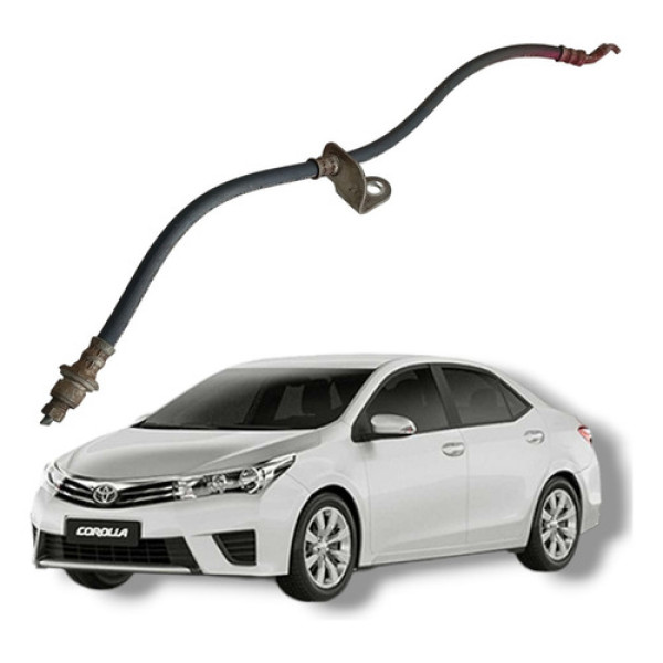 Flexível Freio Traseiro Direito Toyota Corolla 2016