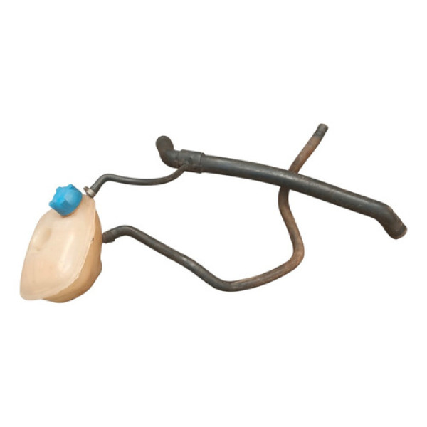 Reservatorio Dagua Radiador Santana Vw Gol Parati 2000